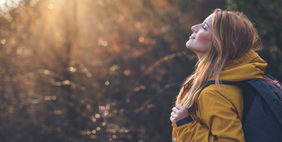 Tudo sobre Boro (Boron)