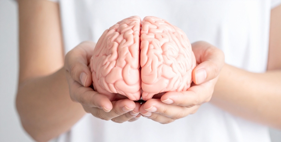 A deficiência nutricional que pode afetar o cérebro já em adultos jovens