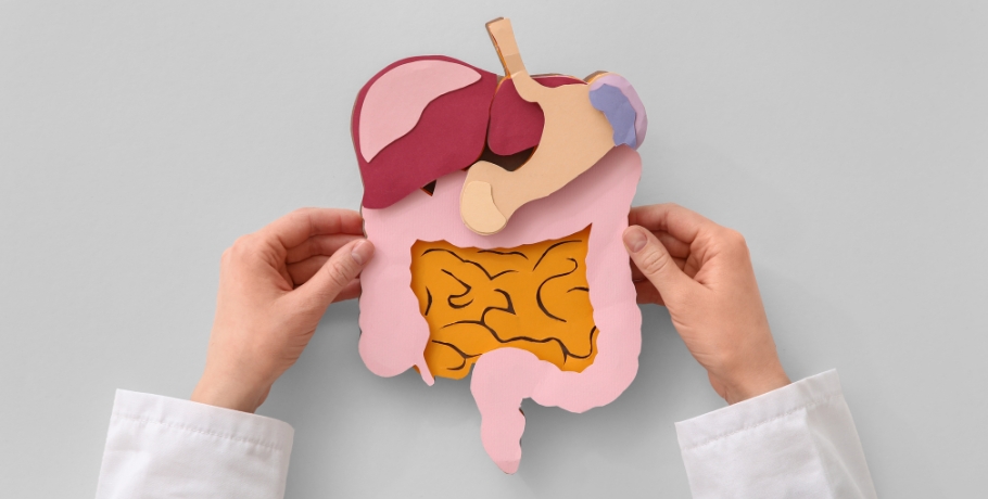 Bile, absorção de gorduras e vitaminas lipossolúveis – o elo esquecido da digestão